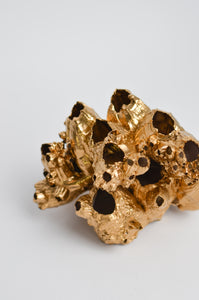 Gold Barnacle Cluster