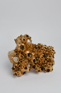 Gold Barnacle Cluster