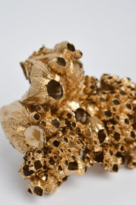Gold Barnacle Cluster