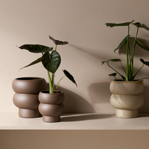 Dune Bulb Planter
