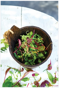 Radiant The Cookbook