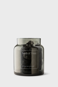 Study of Trees - Scented Volcanic Rock Set