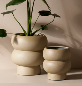 Dune Bulb Planter