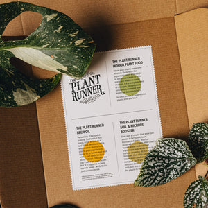 Plant Care Booster Kit